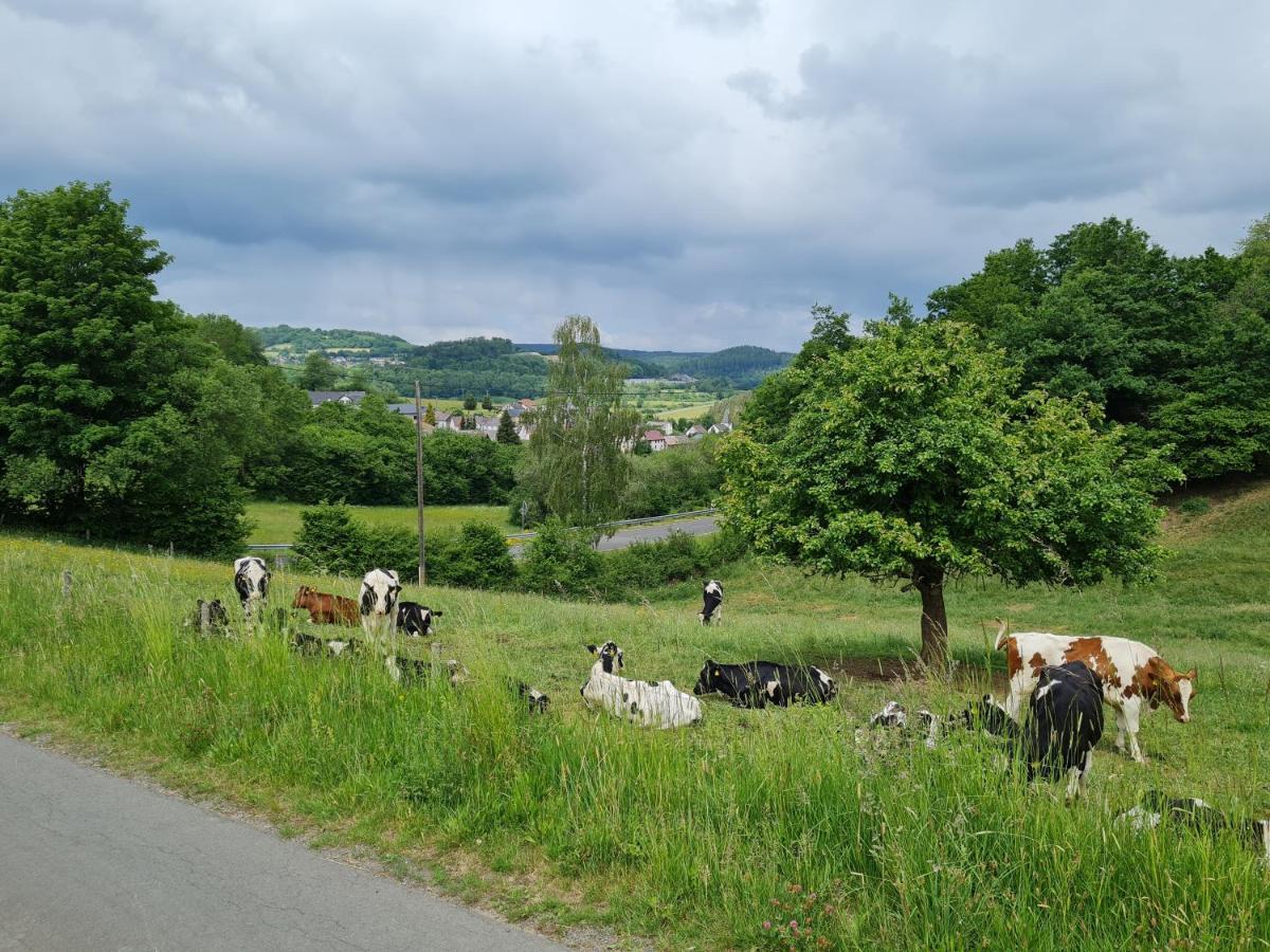 Gasthaus Paula Üdersdorf Buitenkant foto